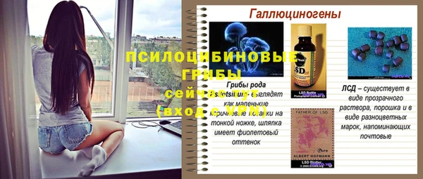 дживик Новозыбков