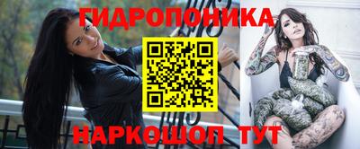 молекула духа Волжский