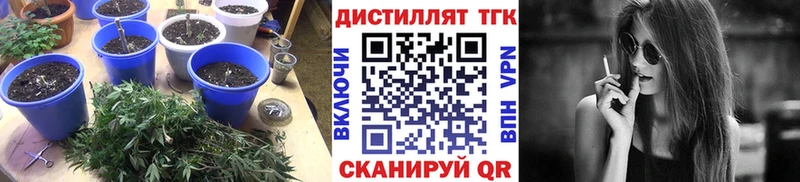 Дистиллят ТГК концентрат  как найти наркотики  Кизилюрт 