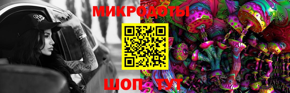 Кизилюрт  Галлюциногенные грибы Cubensis  Вход с VPN  Псилоцибиновые грибы MAGIC MUSHROOMS 