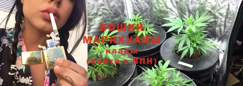 наркотики  Кизилюрт  Бошки Шишки SATIVA & INDICA 